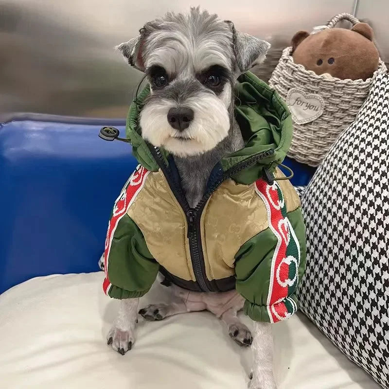 Designer Winter Dog Hoodie