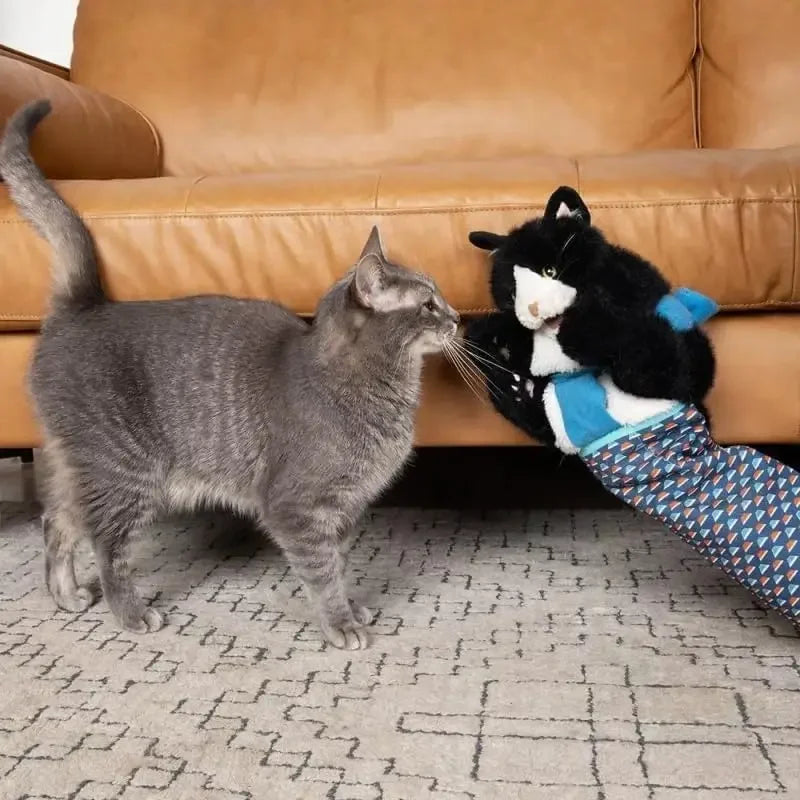Interactive Cat Wrestling Gloves with Catnip