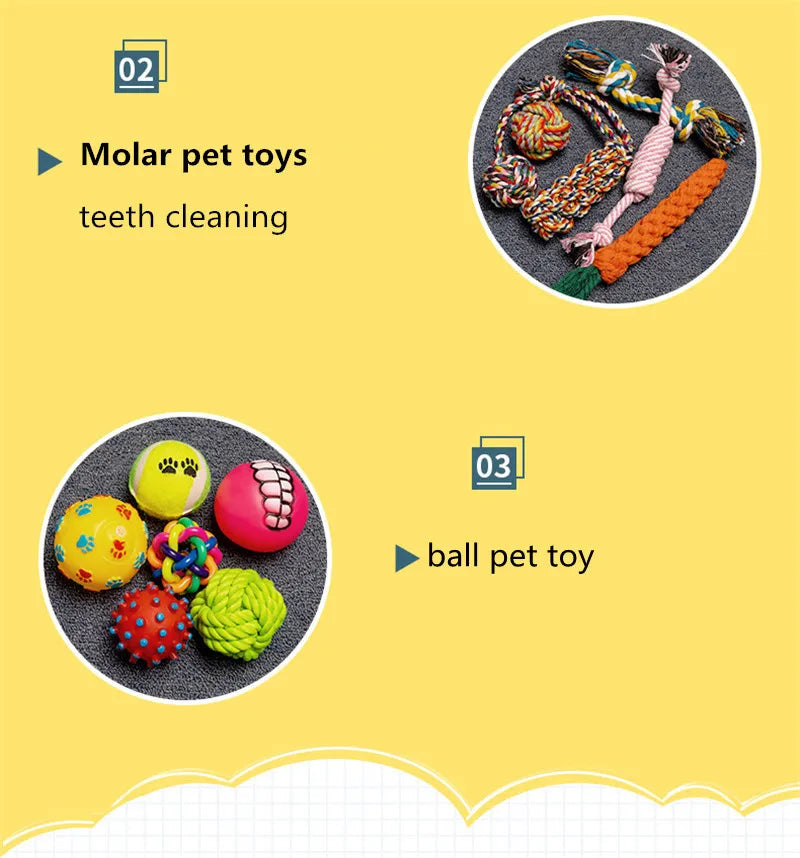 Dog Toy Kit - Ball, Bone, Rope & Squeaky Toys
