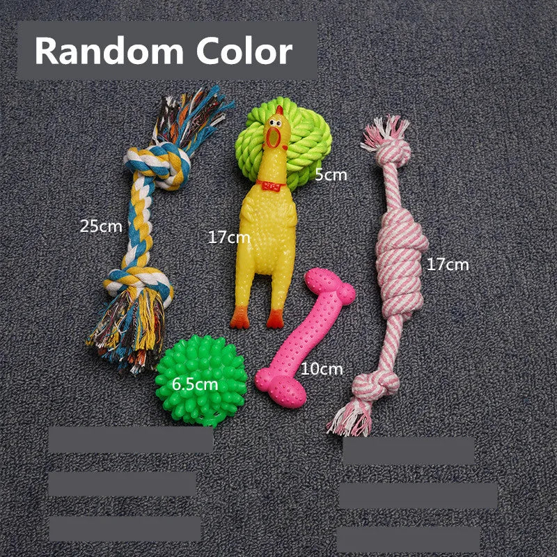 Dog Toy Kit - Ball, Bone, Rope & Squeaky Toys