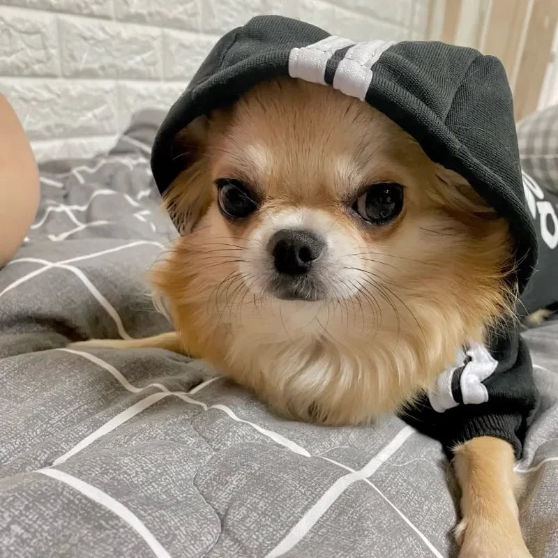 Adidog Dog Hoodie - Warm Winter Coat for Medium & Large Dogs