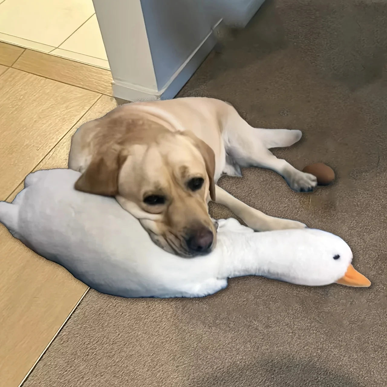 Large Plush White Duck Dog Toy