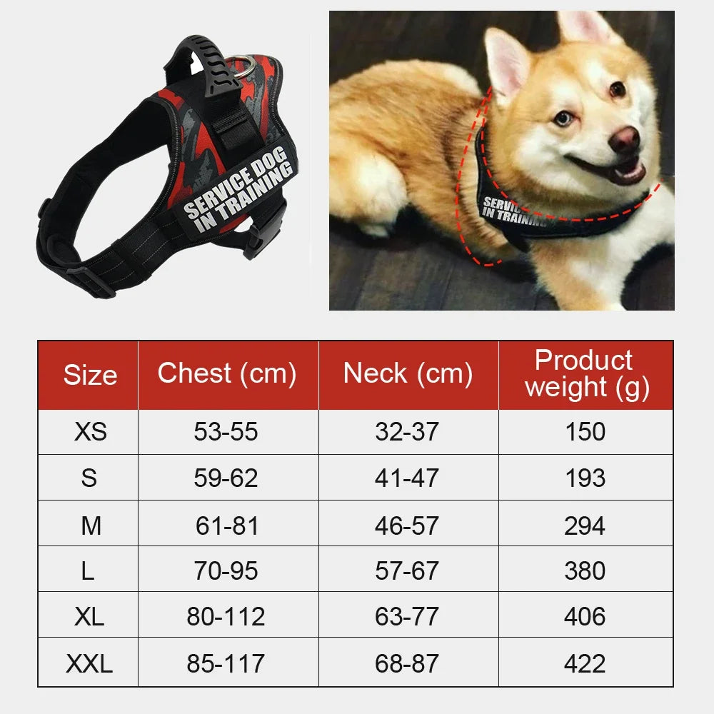 Adjustable Nylon Dog Harness with Custom ID