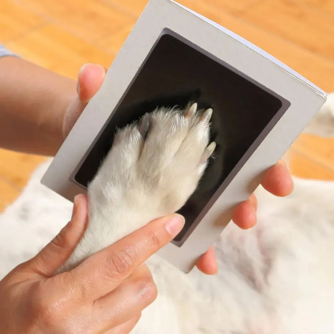 Pet Paw Print Ink Pad - DIY Keepsake Kit for Dogs & Cats