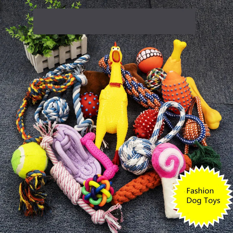 Dog Toy Kit - Ball, Bone, Rope & Squeaky Toys