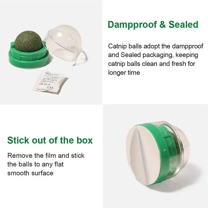 Catnip Wall Stick-on Ball