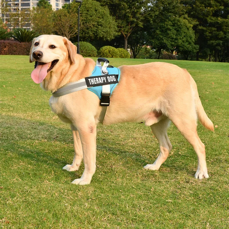 KOMMILIFE Adjustable Personalized Reflective Breathable Pet Dog Harness Vest For Small Medium Large Dogs