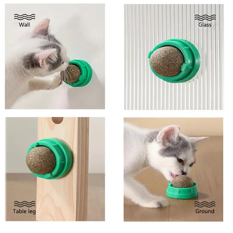 Catnip Wall Stick-on Ball