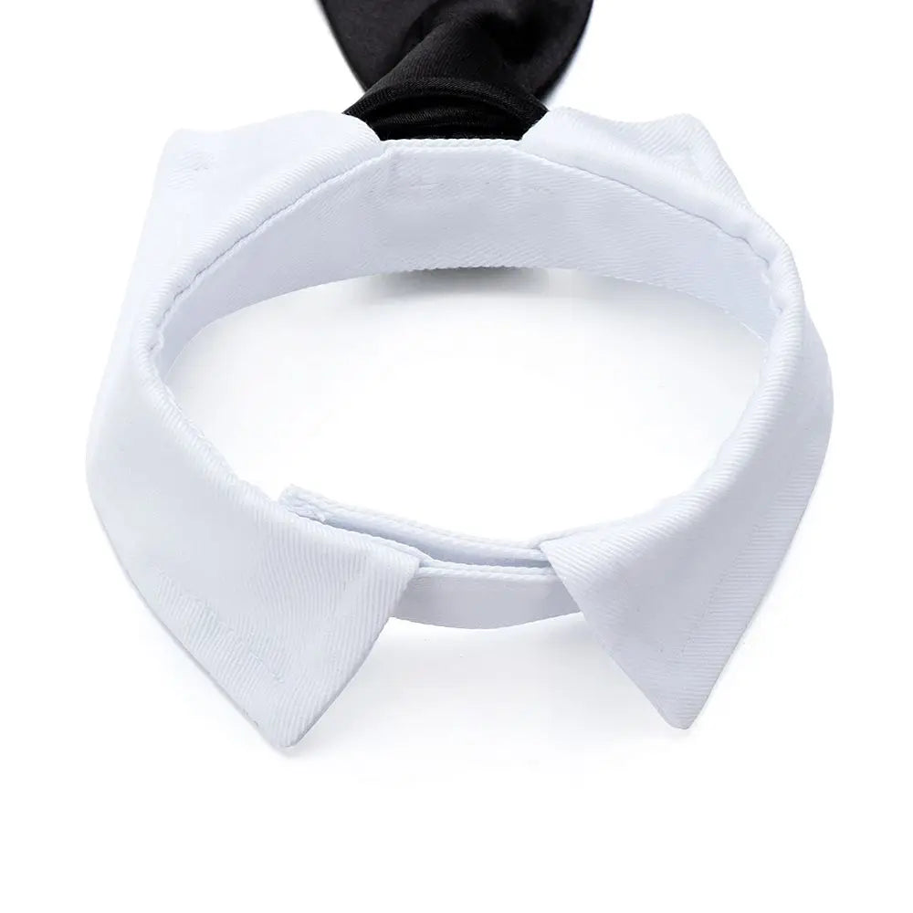 Pet Tuxedo Bow Tie Collar - Formal Accessory for Dogs & Cats
