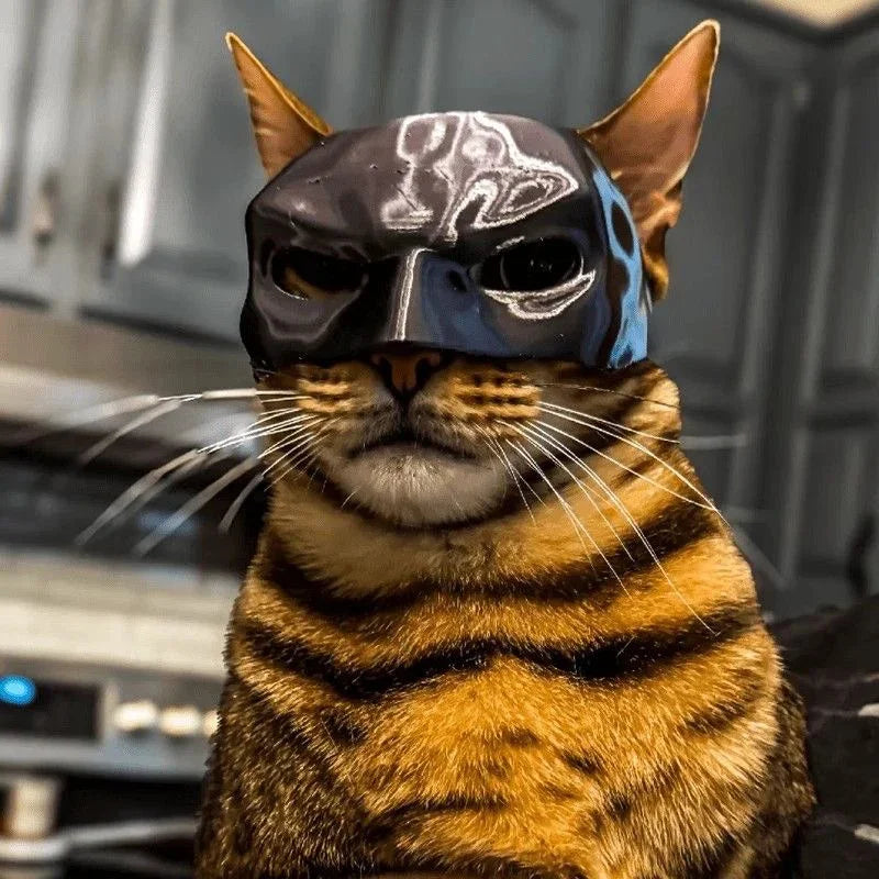 Cat Avenger Mask Black Bat Halloween Cosplay Hat Cat Funny Toys Cool Cat Masks Photos Props Pet Accessories