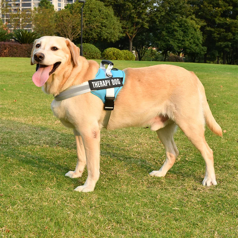 KOMMILIFE Adjustable Personalized Reflective Breathable Pet Dog Harness Vest For Small Medium Large Dogs