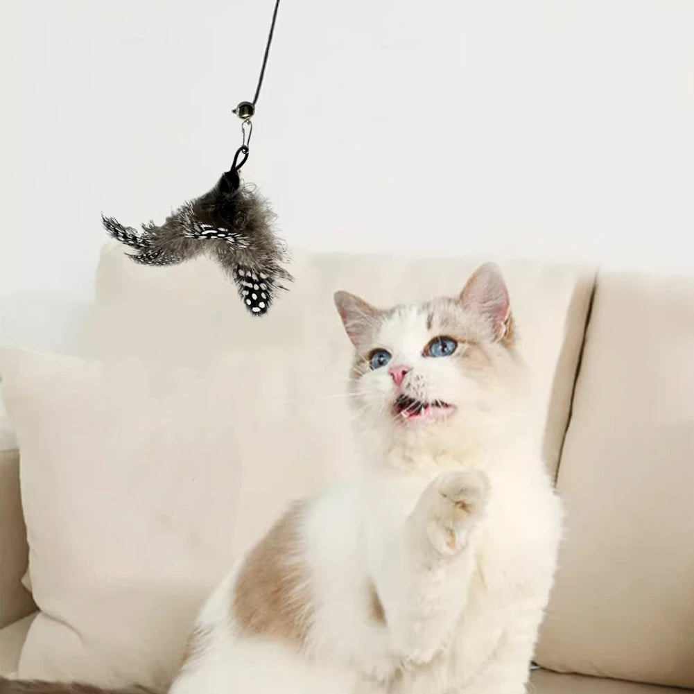 Interactive Cat Feather Toy Set - 5 Replacement Attachments with Bells
