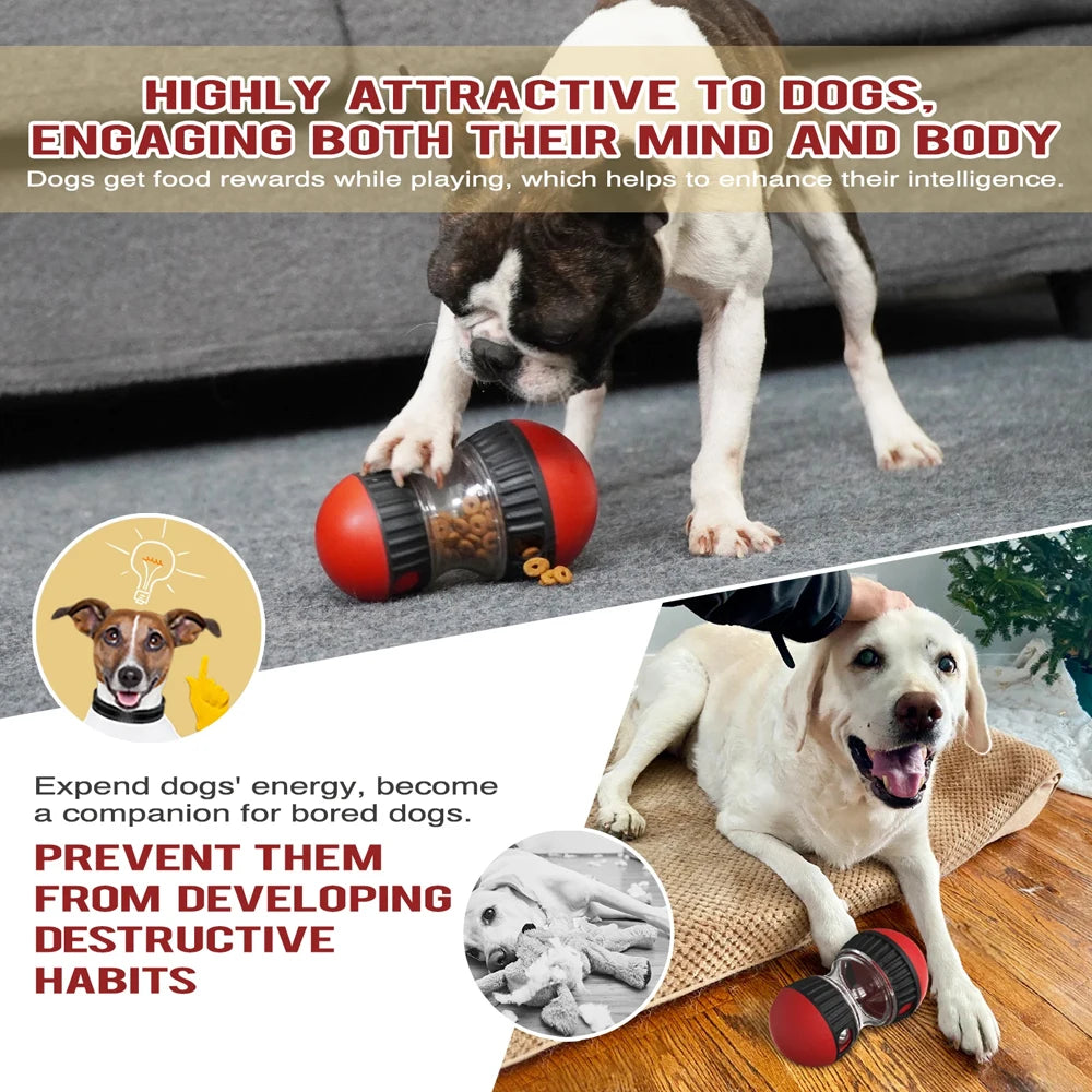 Smart IQ Training Dog Toy - Slow Feeder Puzzle Ball