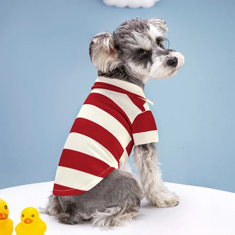 Dog Polo Shirt - Summer Casual Clothing for Small & Large Dogs