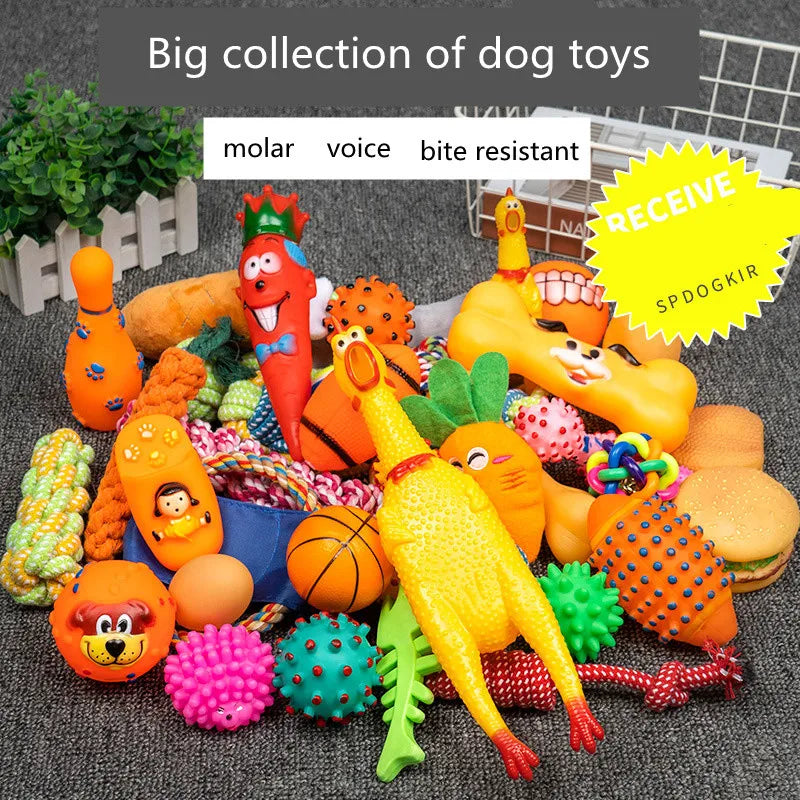 Dog Toy Kit - Ball, Bone, Rope & Squeaky Toys