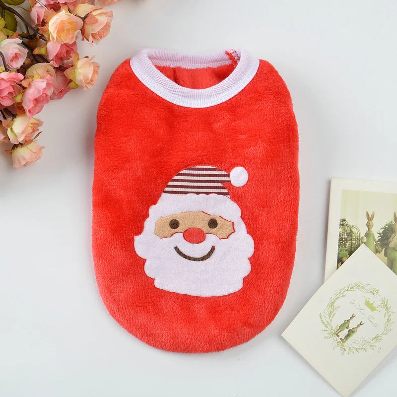 Cute Print Teacup Dog Sweater