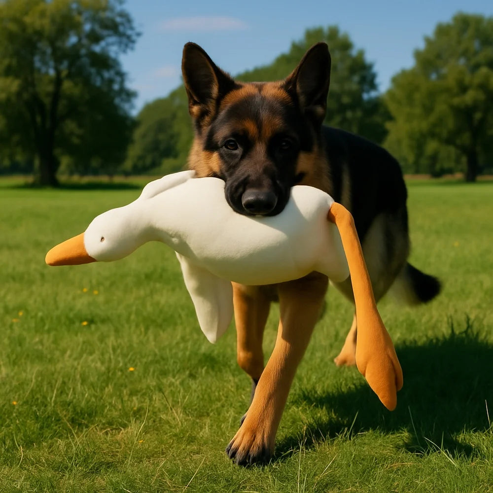 Large Plush White Duck Dog Toy