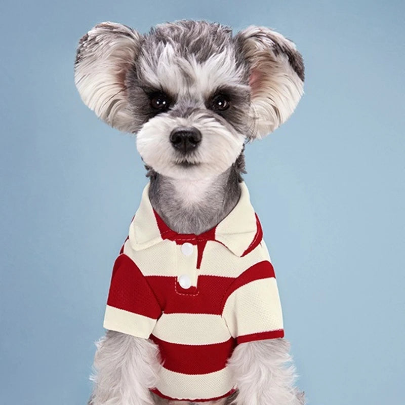 Dog Polo Shirt - Summer Casual Clothing for Small & Large Dogs