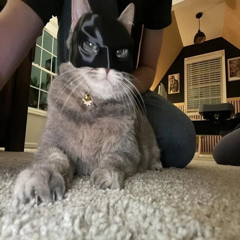 Cat Avenger Mask Black Bat Halloween Cosplay Hat Cat Funny Toys Cool Cat Masks Photos Props Pet Accessories