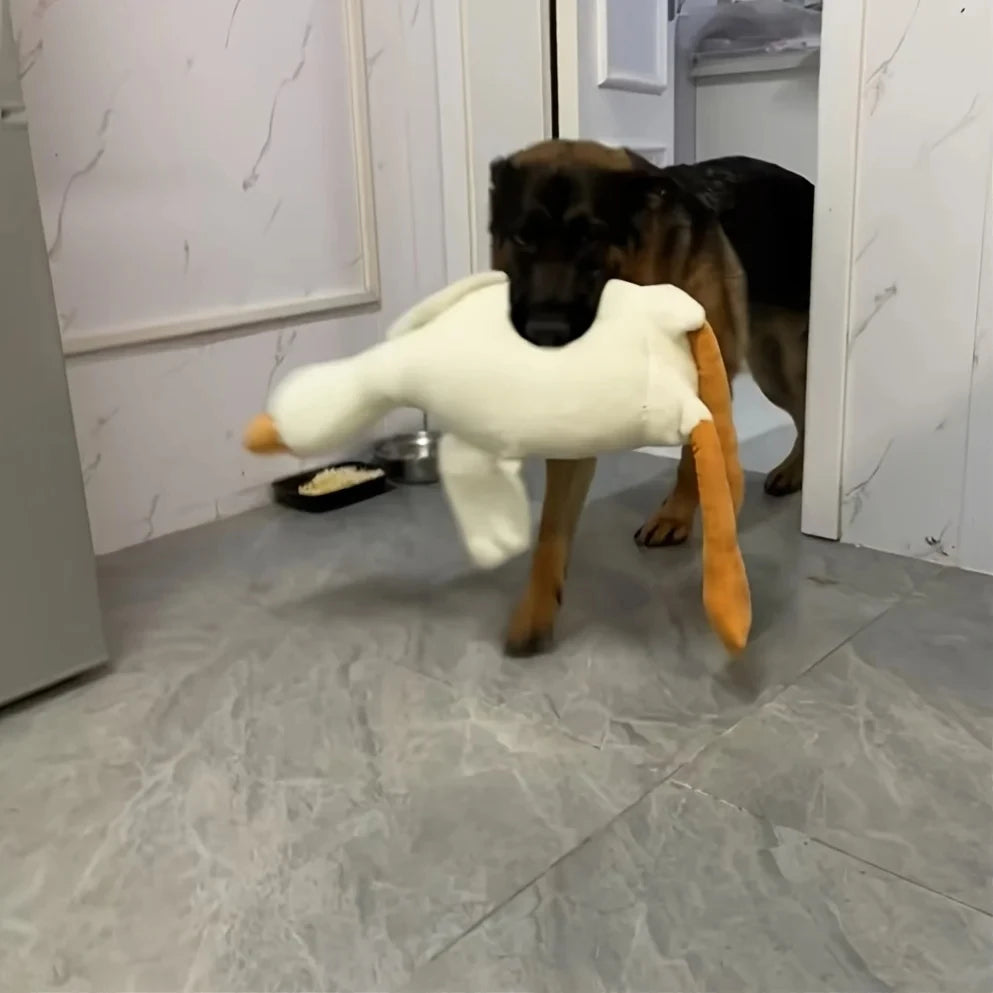 Large Plush White Duck Dog Toy