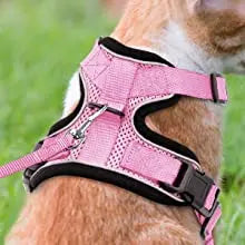 Escape-Proof Cat Harness & Leash Set - Breathable Vest with Reflective Strips