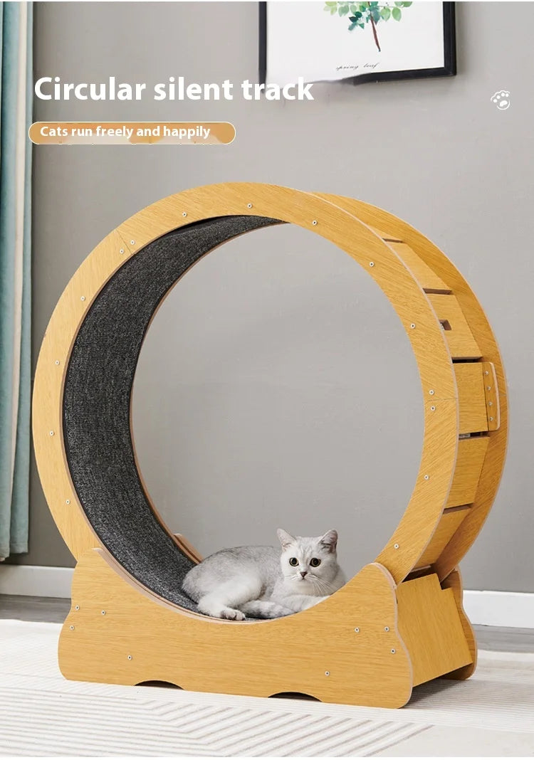 Wooden Cat Exercise Treadmill - Pre-Order Special