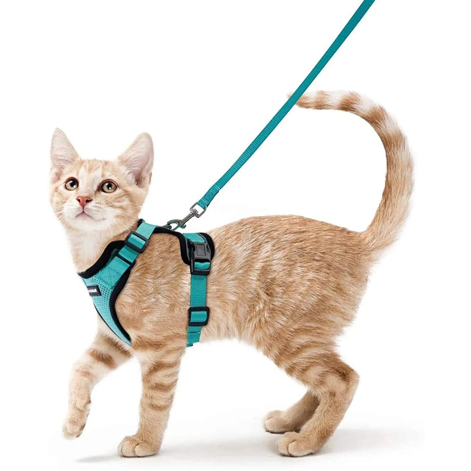 Escape-Proof Cat Harness & Leash Set - Breathable Vest with Reflective Strips
