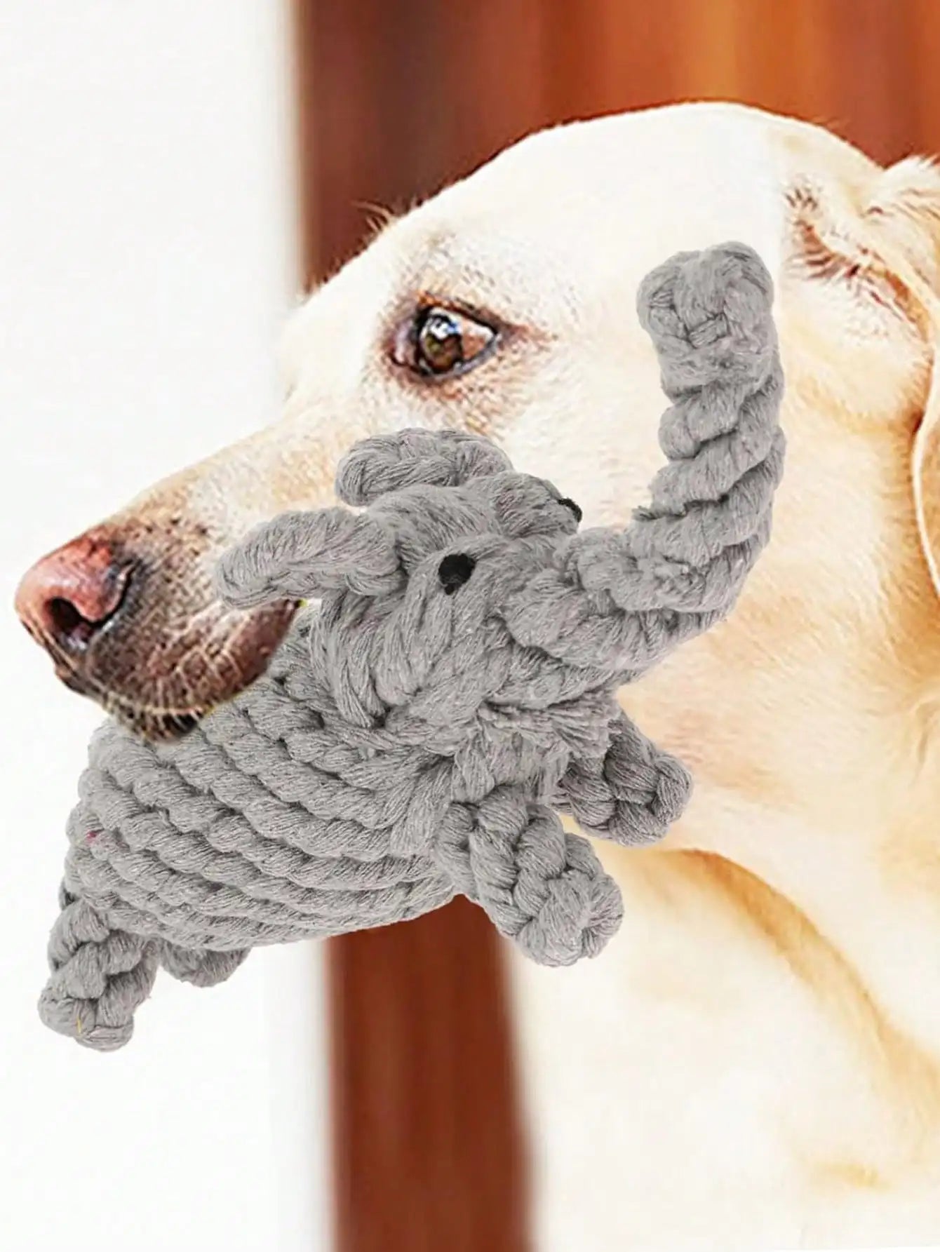Hand-Woven Cotton Rope Dog Toy - Teeth Resistant Chew Toy