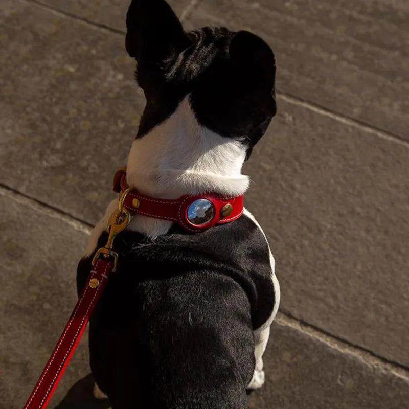 Premium Leather Dog Collar with AirTag Holder - Anti-Lost Pet Tracking