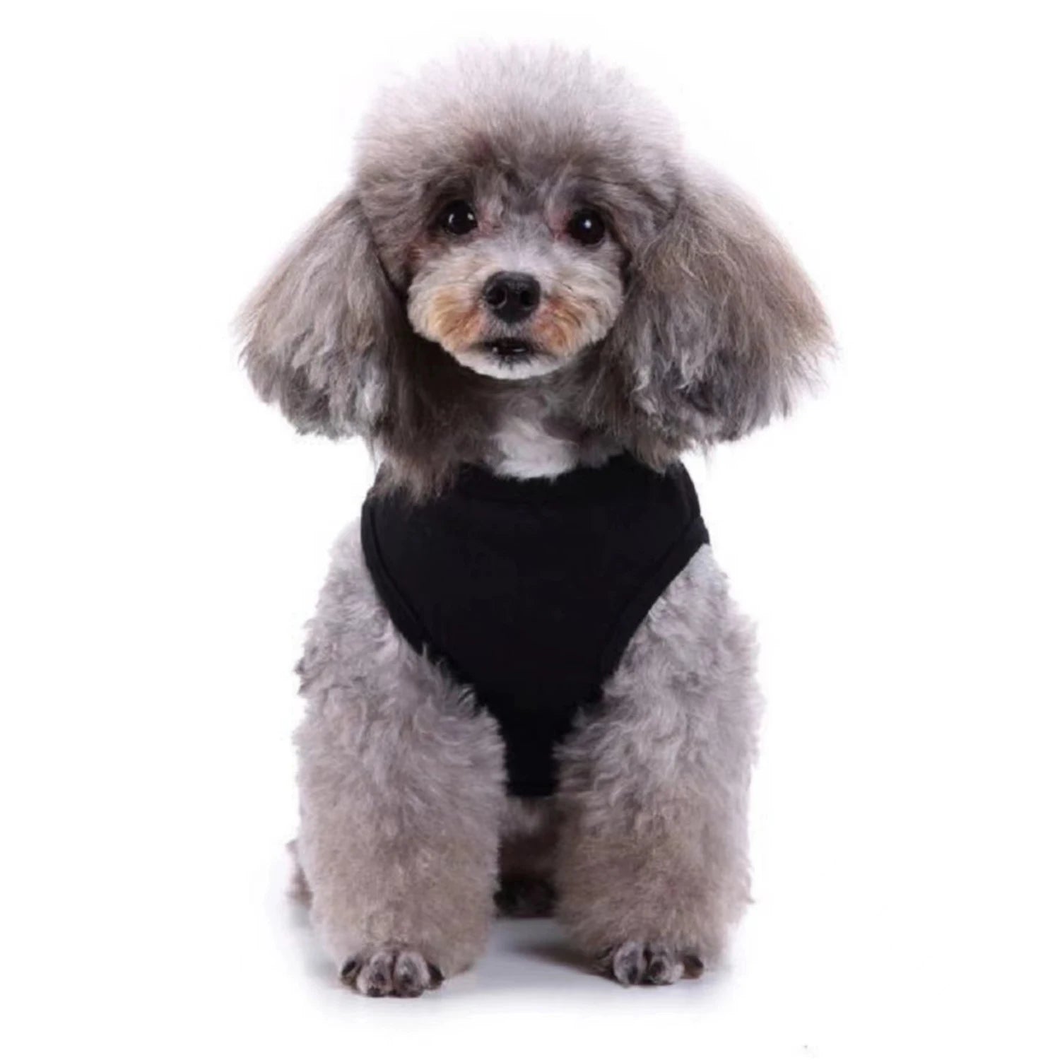 Stylish Letter Print Pet Vest - Lightweight Polyester for Dogs & Cats