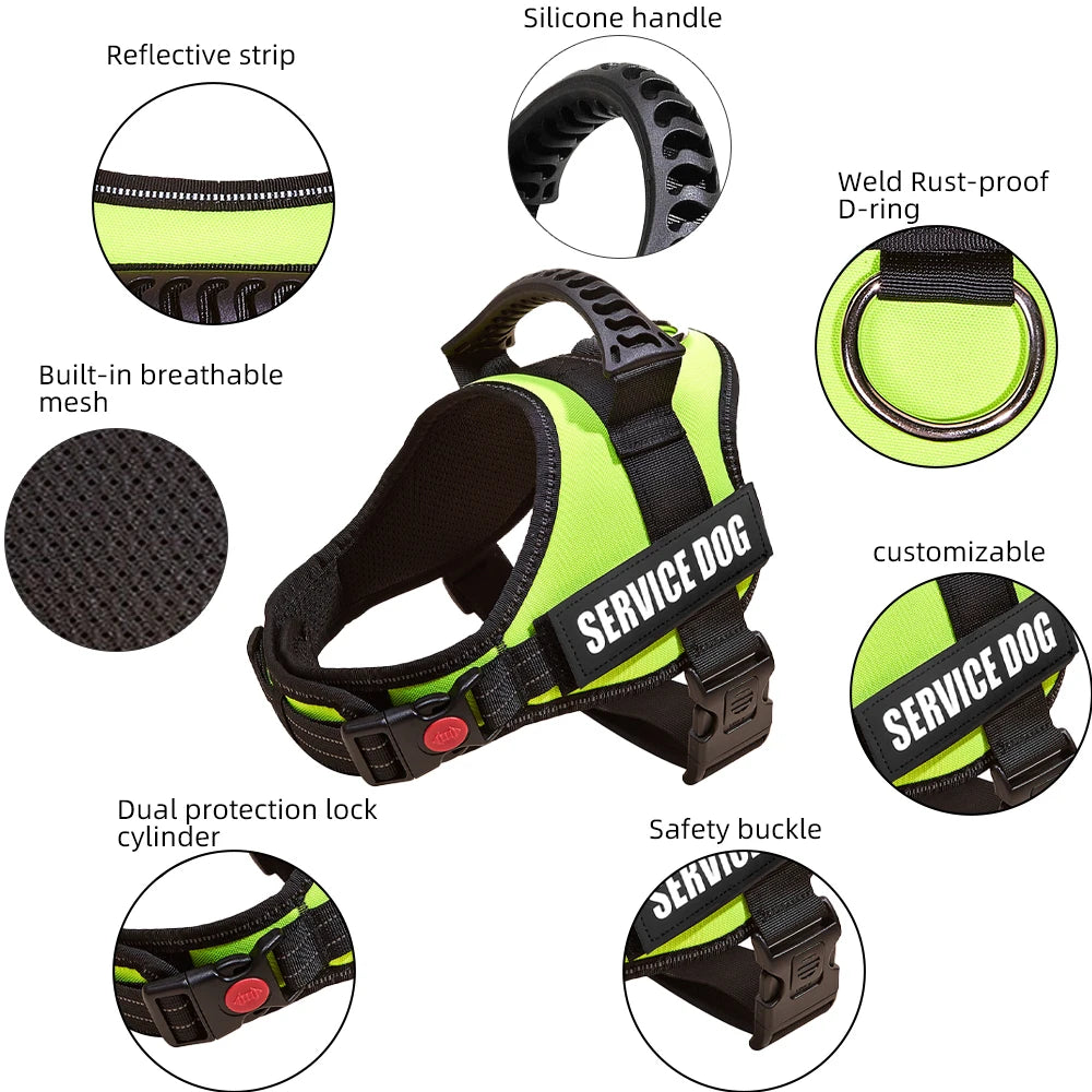 Safety No-Pull Harness for Small Dogs