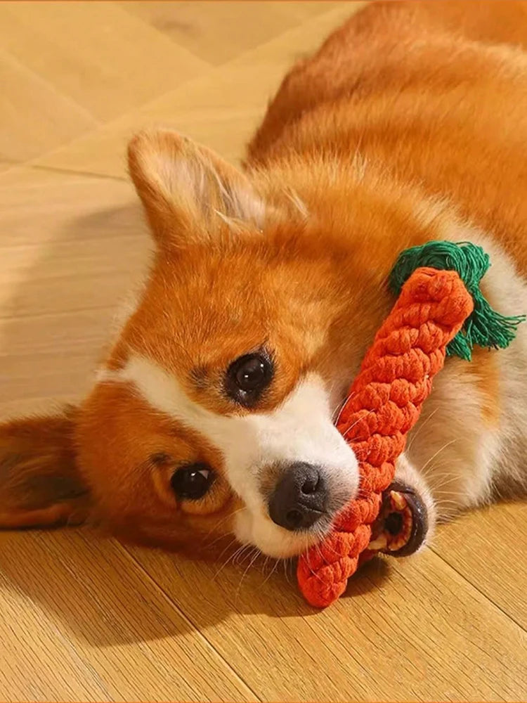 Hand-Woven Cotton Rope Dog Toy - Teeth Resistant Chew Toy