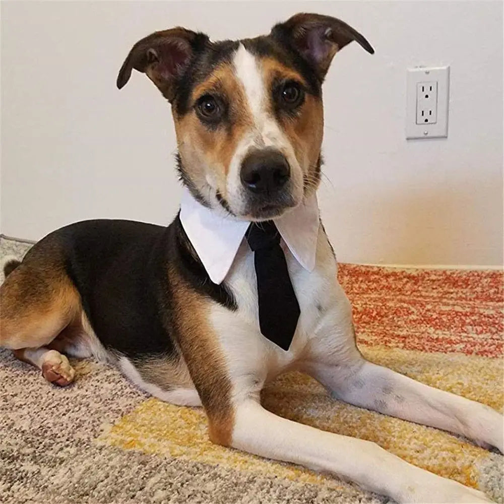 Pet Tuxedo Bow Tie Collar - Formal Accessory for Dogs & Cats