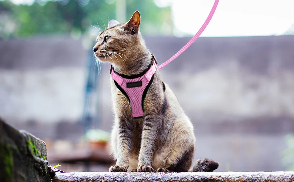 Escape-Proof Cat Harness & Leash Set - Breathable Vest with Reflective Strips