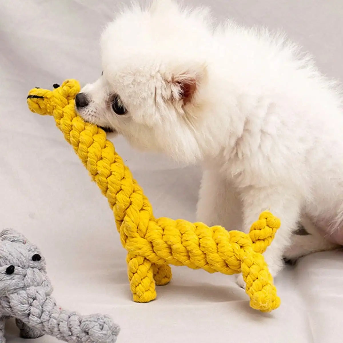Hand-Woven Cotton Rope Dog Toy - Teeth Resistant Chew Toy