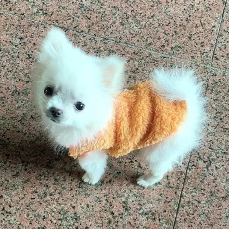 Cute Print Teacup Dog Sweater
