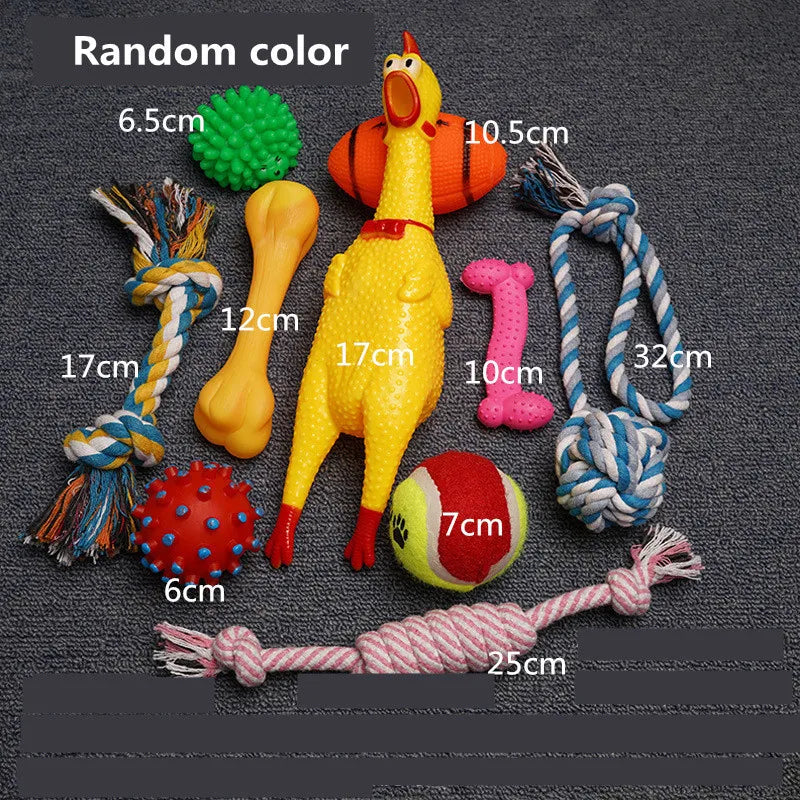 Dog Toy Kit - Ball, Bone, Rope & Squeaky Toys