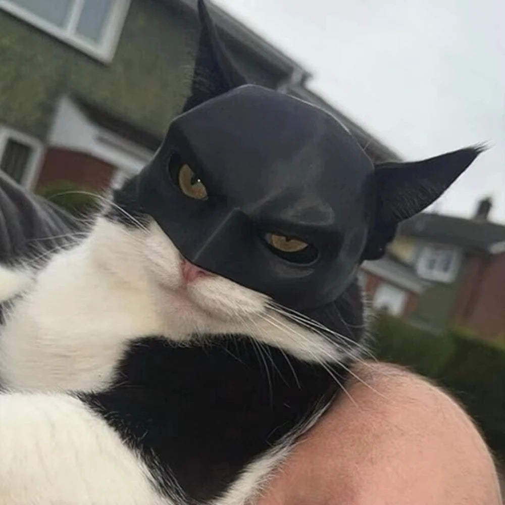 Cat Avenger Mask Black Bat Halloween Cosplay Hat Cat Funny Toys Cool Cat Masks Photos Props Pet Accessories