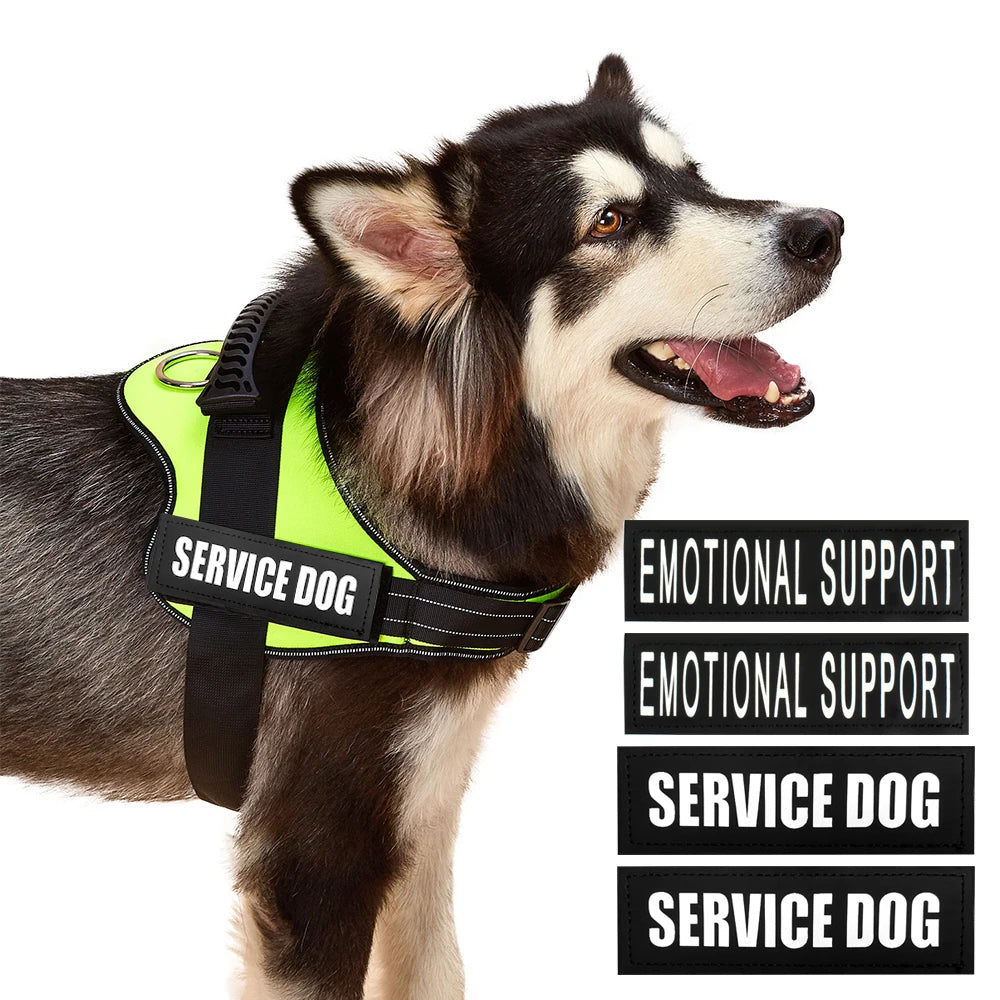 Safety No-Pull Harness for Small Dogs