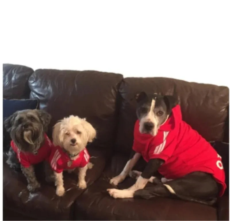 Adidog Dog Hoodie - Warm Winter Coat for Medium & Large Dogs