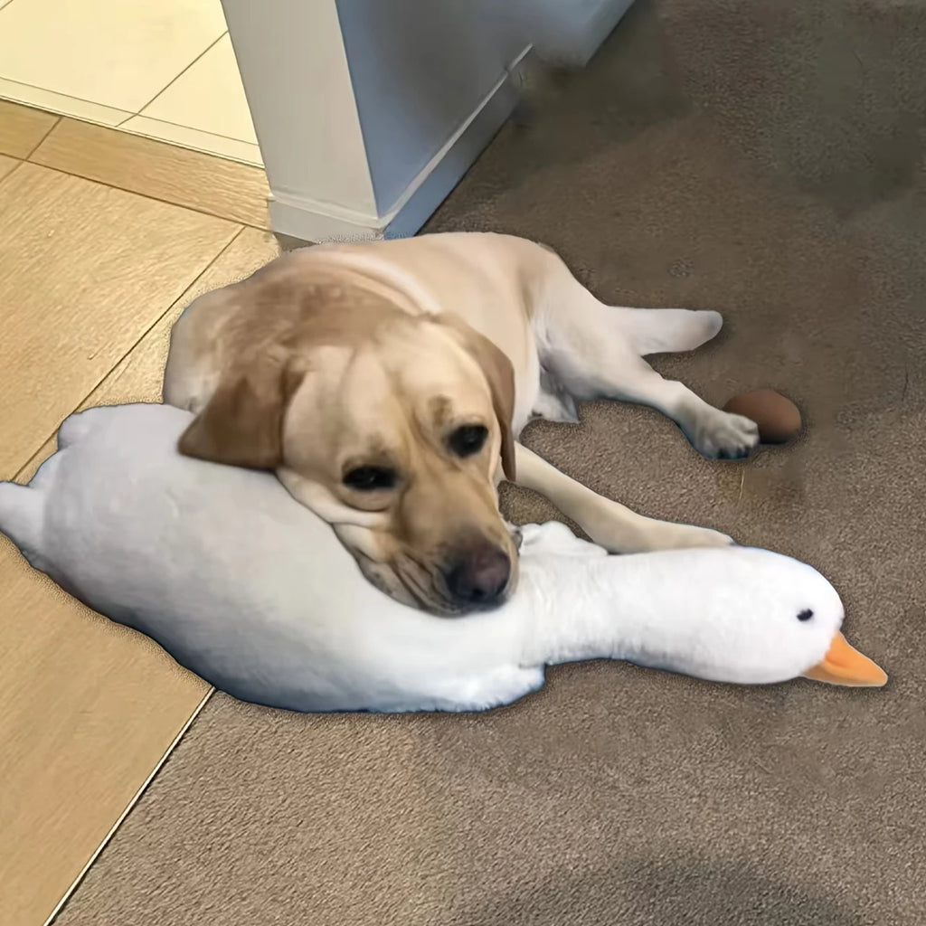 Large Plush White Duck Dog Toy