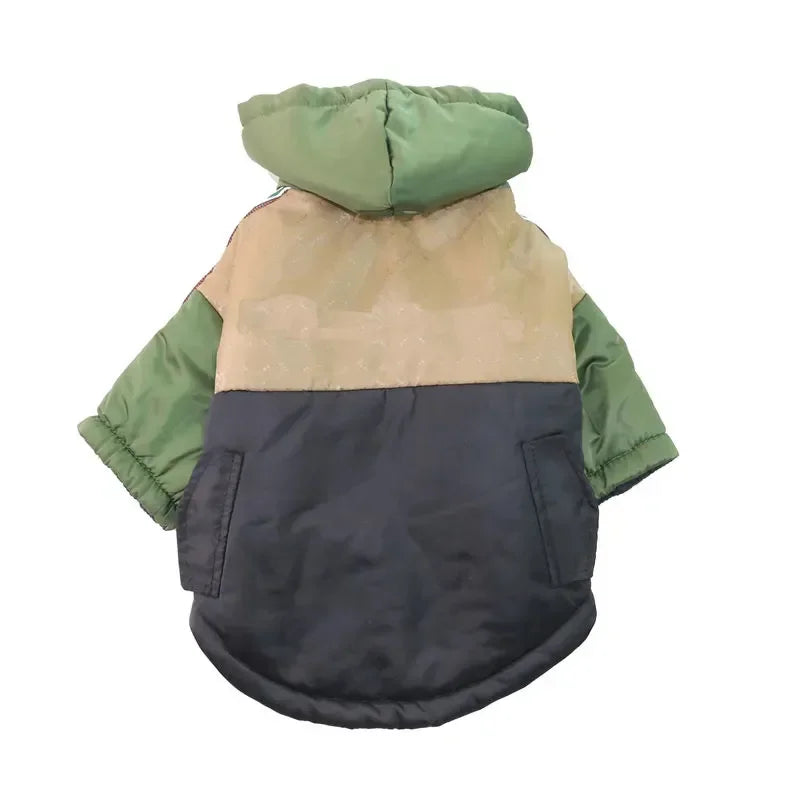 Designer Winter Dog Hoodie