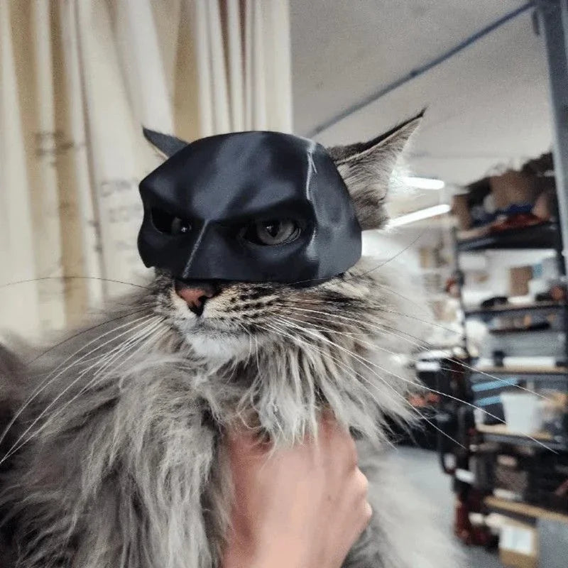 Cat Avenger Mask Black Bat Halloween Cosplay Hat Cat Funny Toys Cool Cat Masks Photos Props Pet Accessories