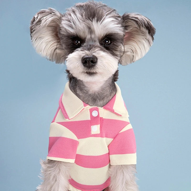 Dog Polo Shirt - Summer Casual Clothing for Small & Large Dogs