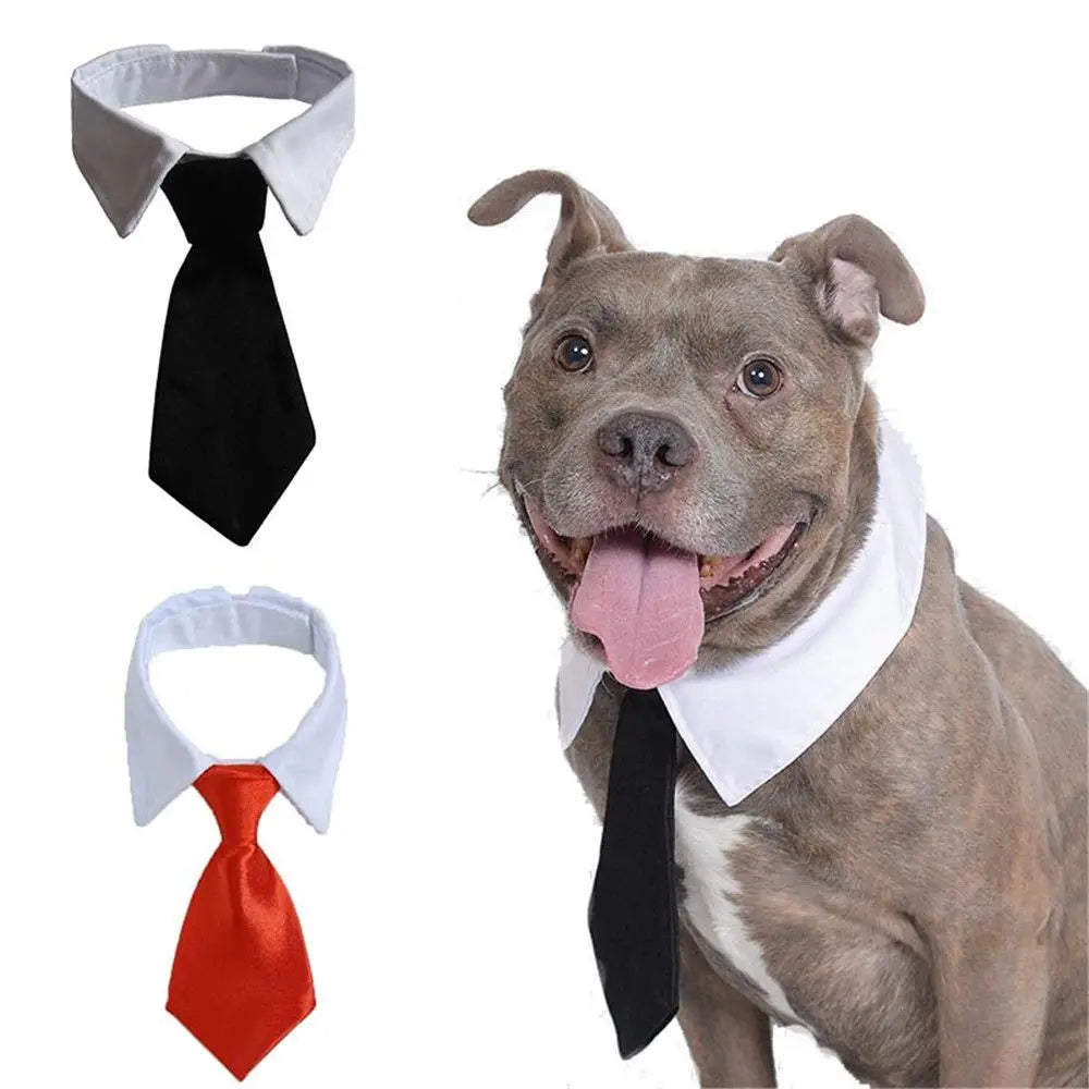Pet Tuxedo Bow Tie Collar - Formal Accessory for Dogs & Cats