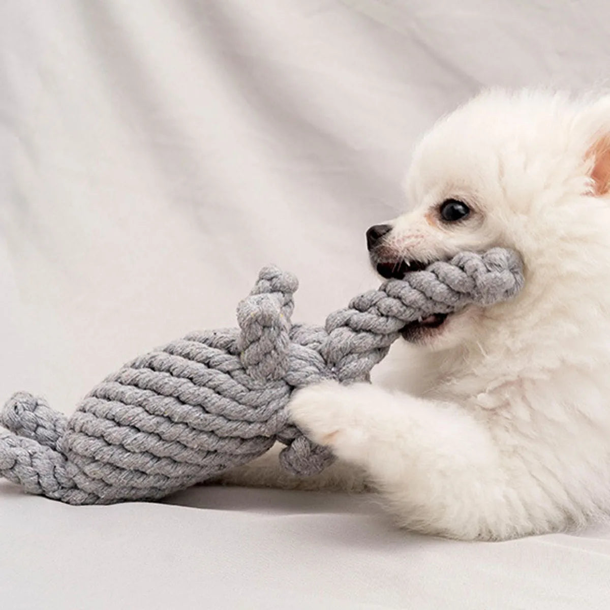 Hand-Woven Cotton Rope Dog Toy - Teeth Resistant Chew Toy