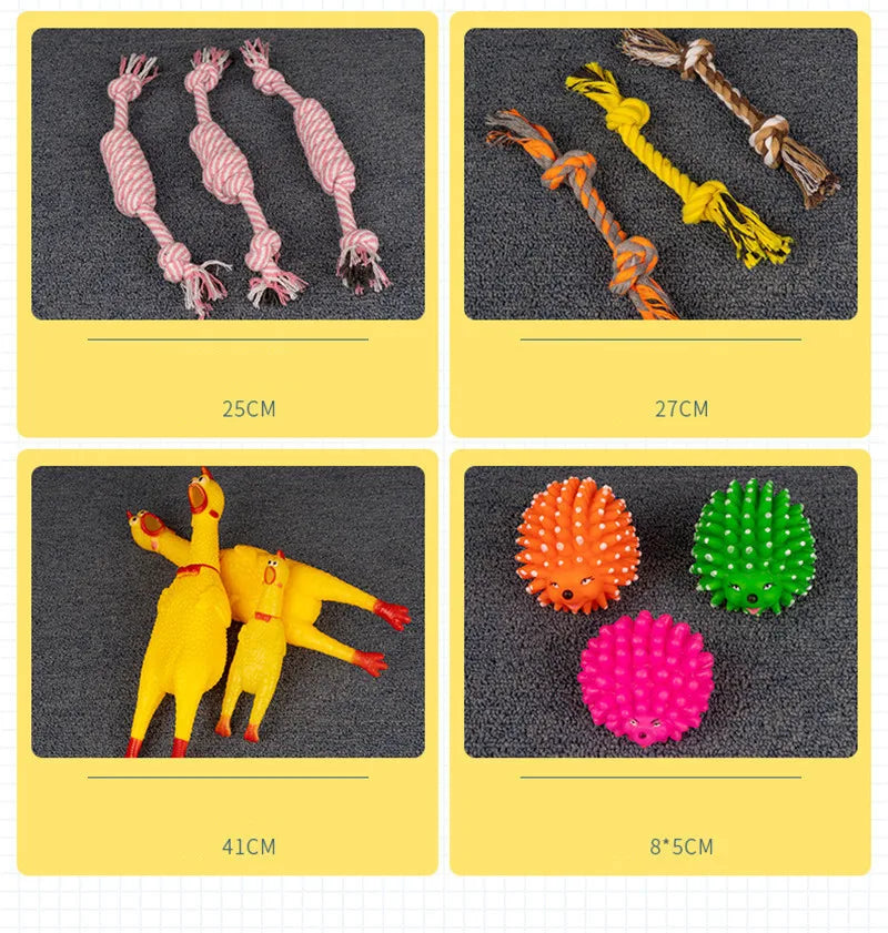 Dog Toy Kit - Ball, Bone, Rope & Squeaky Toys