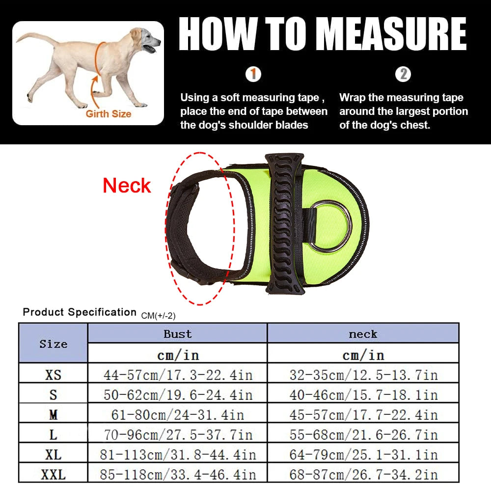Safety No-Pull Harness for Small Dogs