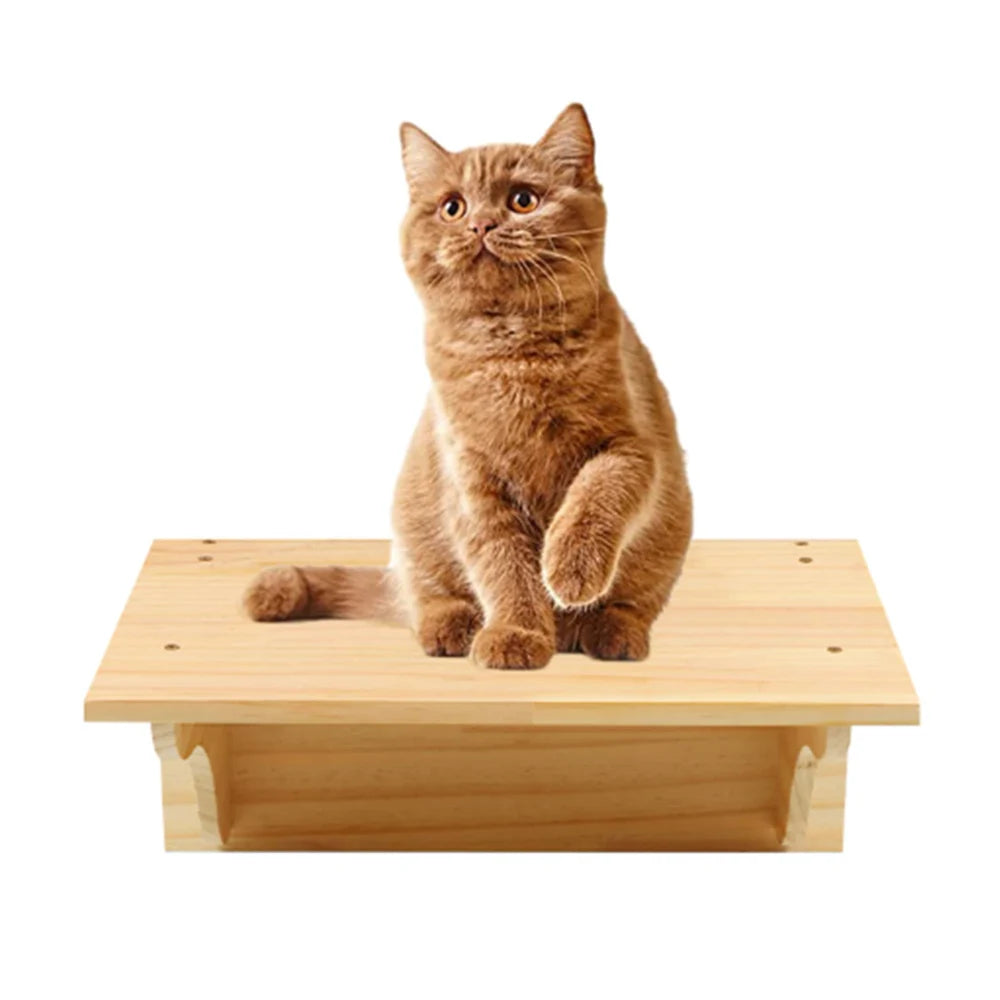 Wall Mounted Cat Shelves - Scratching Post & Climbing Platform Set