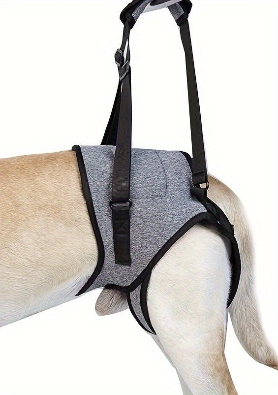 Dog Hind Leg Support Harness - Recovery Aid for Injured & Elderly Dogs